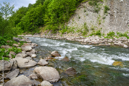 The mountain river in the Carpathians is a landscape. The Prut River, Yaremche, Ukraine.