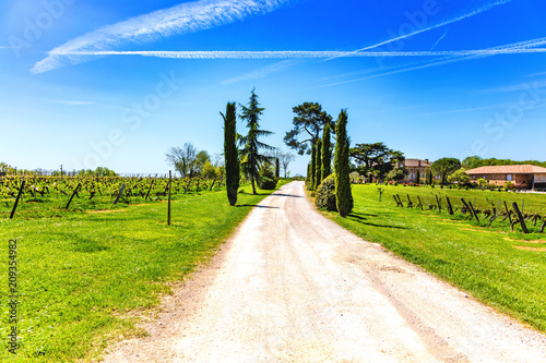 Chemin en terre du vignoble de Terride, Puycelsi, Tarn, Midi-Pyrénées, Occitanie, France