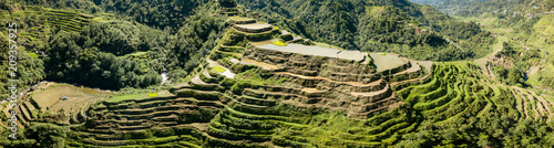 Obraz na plátně Aerial drone panorama of spectacular towering rice terraces