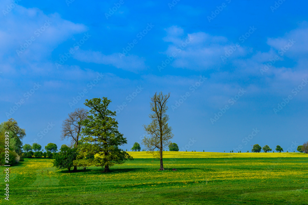 Weites Land: Von Peter Joseph Lenné gestaltete Parklandschaft in Basedow in der Märlischen Schweiz Weites Land: Von Peter Joseph Lenné gestaltete Parklandschaft in Basedow in der Märlischen Schweiz