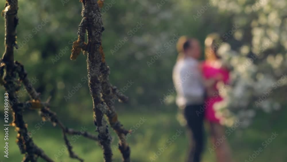 a young couple in love in the spring flowering Park a young couple in love in the spring flowering Park