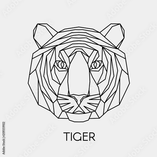 Fototapeta Naklejka Na Ścianę i Meble -  Abstract polygonal tiger head. Geometric linear animal. Vector illustration.