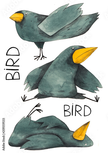 Bird set (ID: 209359533)