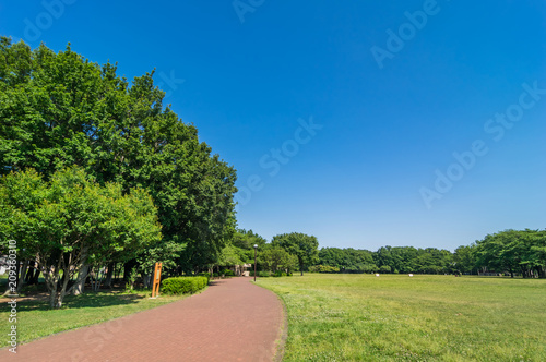東村山中央公園の風景 photo