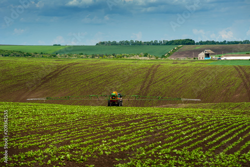 tractor, sugar beet, spraying