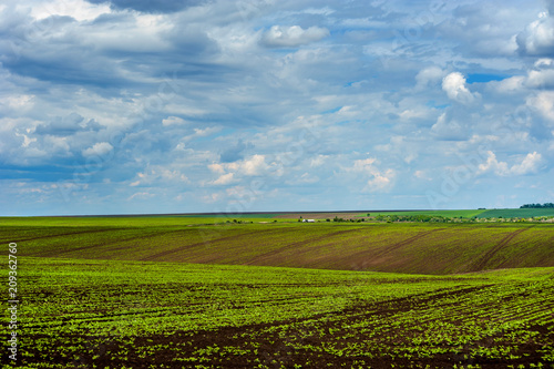 agricultural hills landscape with beautiful sky © pavlobaliukh