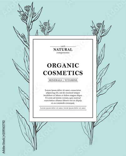 Vector hand drawn floral cards and banners. Botanical hand drawn illustration. Vintage hipster herb templates. Natural organic cosmetics packaging design.