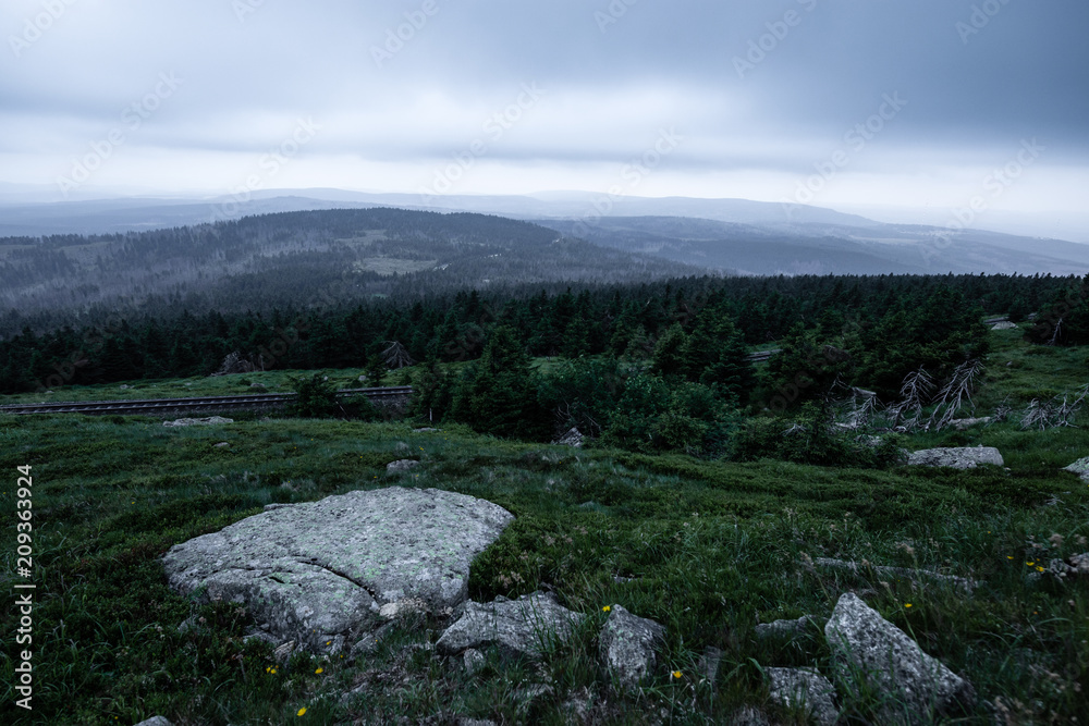 Große Steine liegen auf der Wiese, Berglandschaft Brocken im Harz