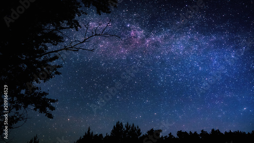 Beautiful starry sky of the Milky Way