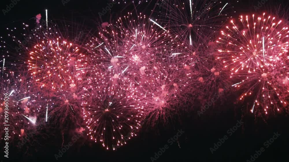 firework on night sky