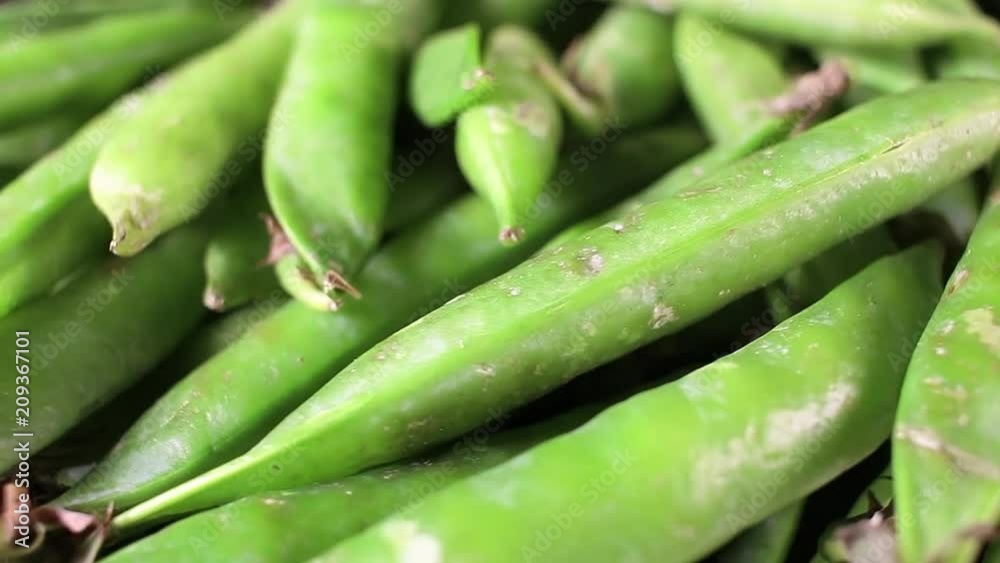 Pea shell green peas rotating food texture closeup video footage. Studio lighting.