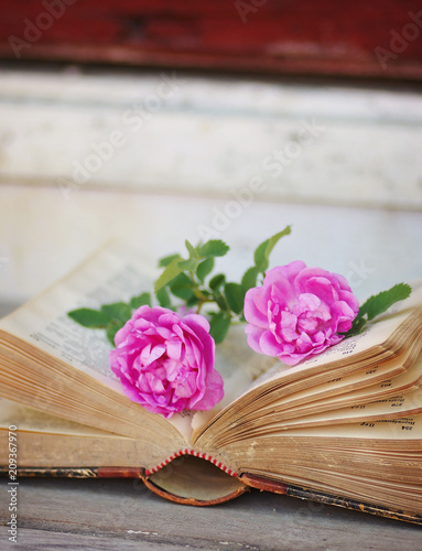 Pink roses on old vintage books