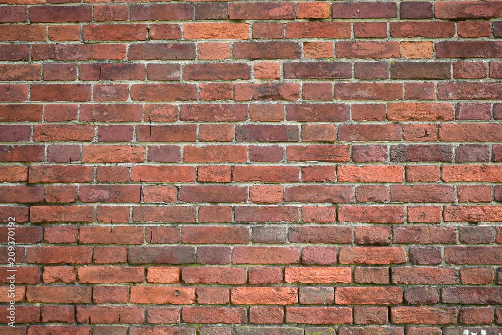 Fototapeta premium Background of a brick wall texture, 50 years old