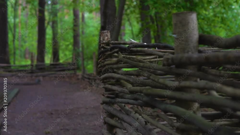 An old wicker fence in a dark and damp forest. An old wicker fence in a dark and damp forest.