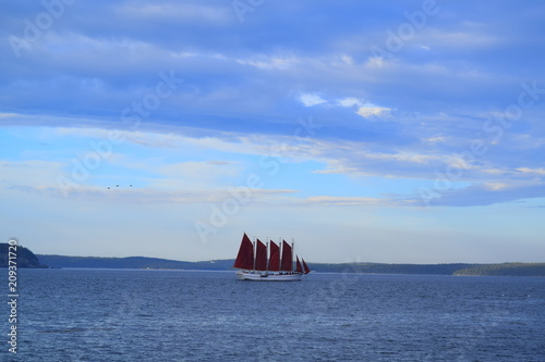 A sail bost in the sea photo