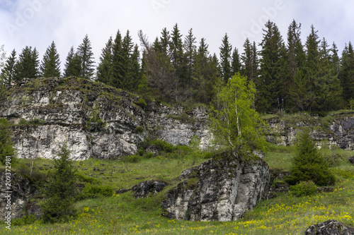 landscape - low limestone rocks on a blooming glade in a mountain forest on a cloudy day
