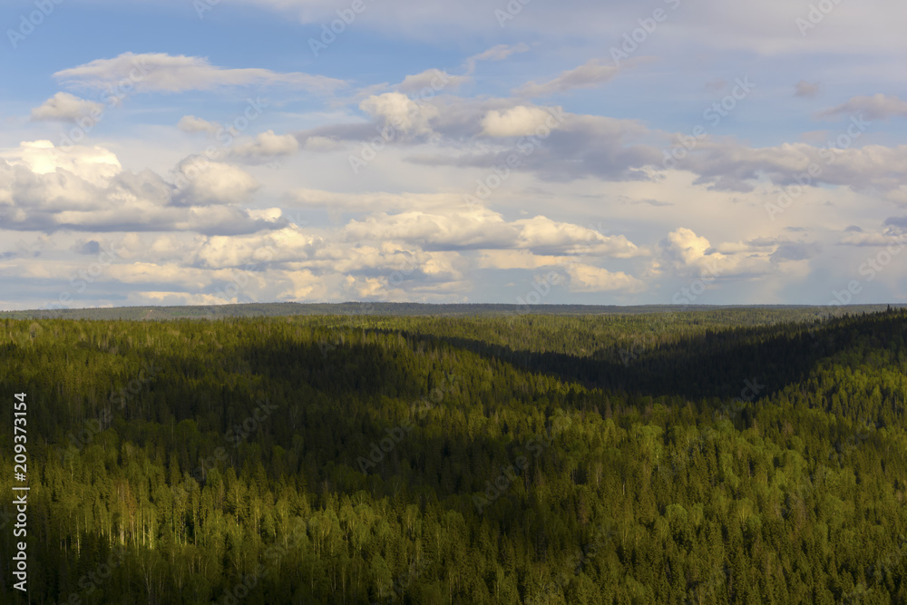 taiga in summer with a bird's eye view; completely covered with coniferous forest terrain and sky with clouds