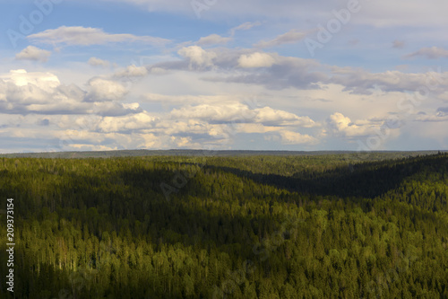 taiga in summer with a bird s eye view  completely covered with coniferous forest terrain and sky with clouds