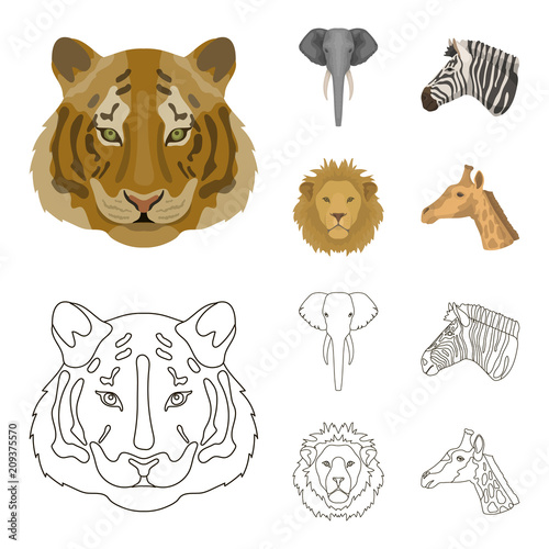 Tiger, lion, elephant, zebra, Realistic animals set collection icons in cartoon,outline style vector symbol stock illustration web.