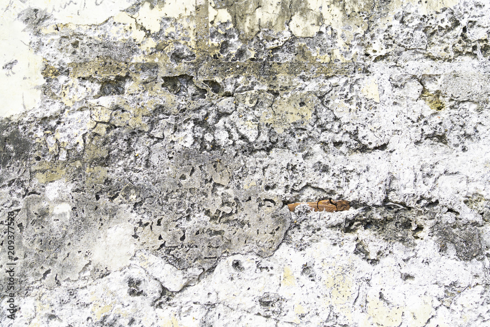 Background with space for text or image Background with space for text or image