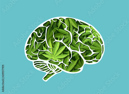 Vector of a human brain made of marijuana leaves