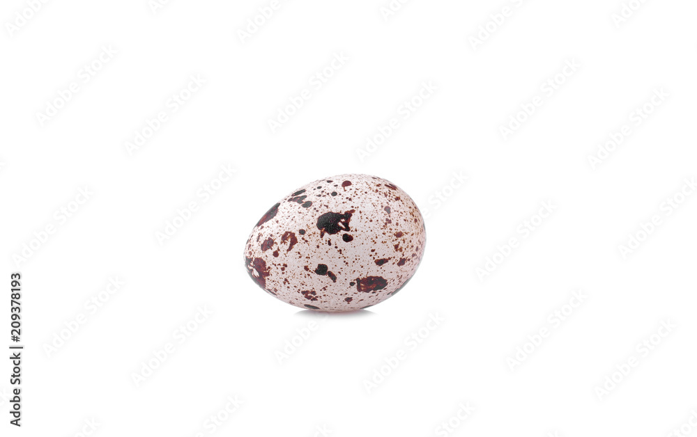 One small quail egg on a white background. isolated One small quail egg on a white background. isolated
