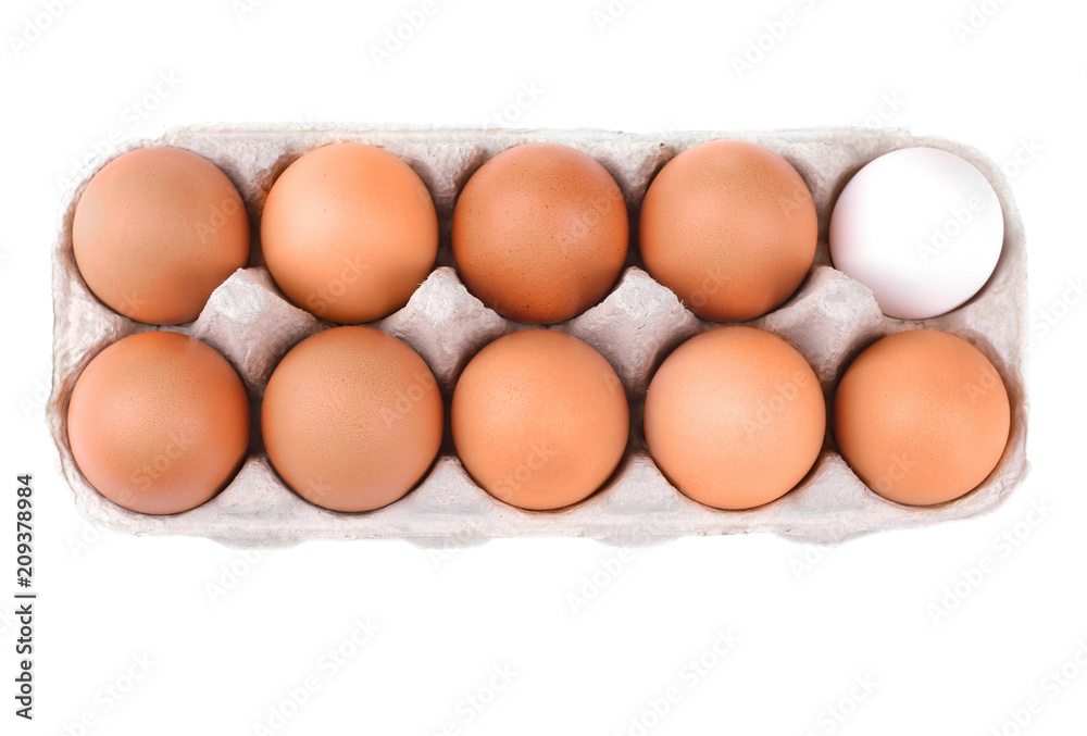 Chicken brown eggs in the egg tray. Isolated Chicken brown eggs in the egg tray. Isolated