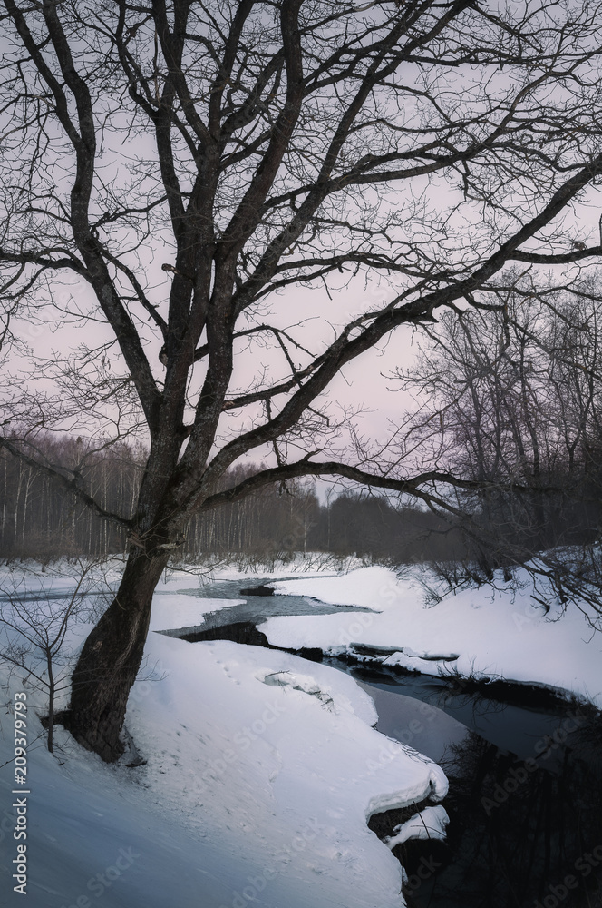 Winter Winter