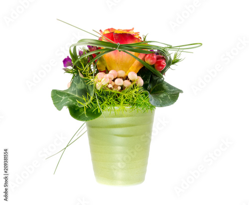 Isolated flower pot with a rose