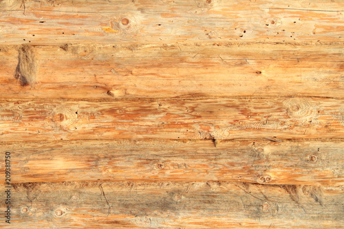 New log and tow. The wall of the house. Background. Close-up. Vertical view. Texture. photo