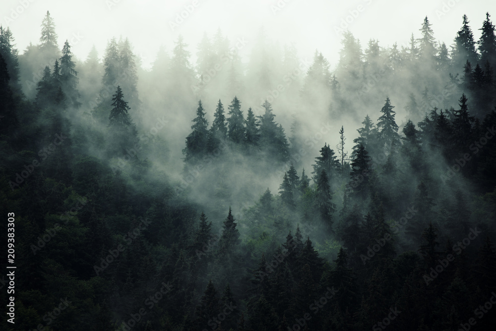 Misty landscape with fir forest in hipster vintage retro style