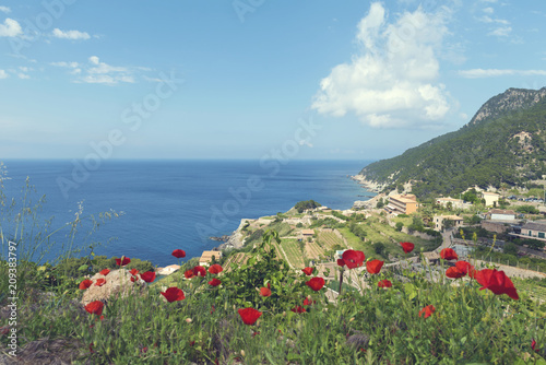 Panoramic view of bay of Banyalbufar with red poppies photo