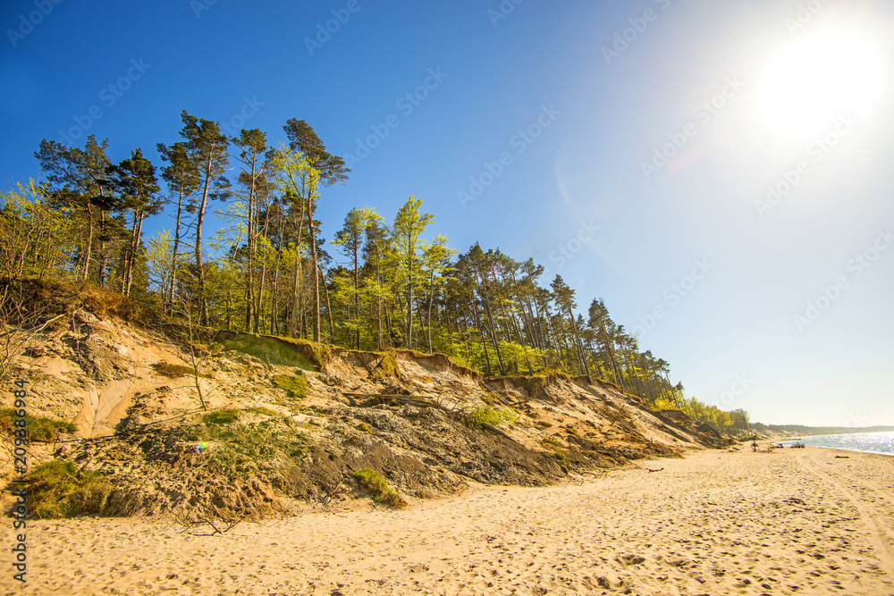 Baltic Sea in Poland with pines and dunes Baltic Sea in Poland with pines and dunes