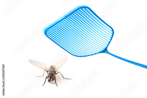 blue flyswatter attacking  a fly isolated on a white background, copy space
