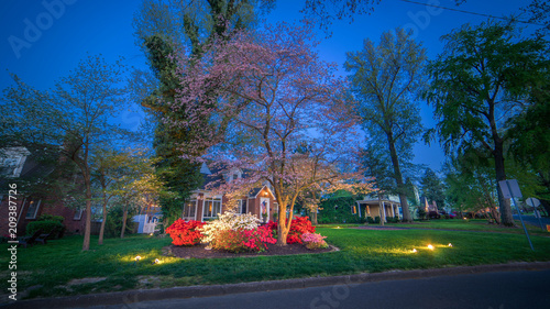 Beautiful home during Paducah's Lighted Dogwood Trail 2018 photo