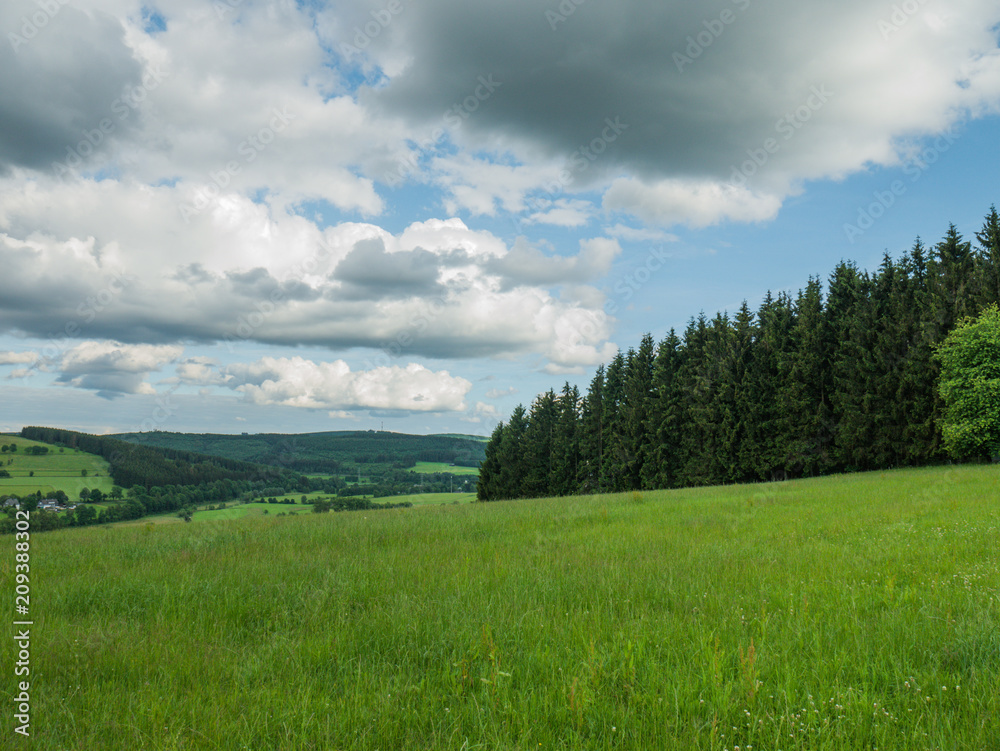 Wunderschöne grüne Wiesen unter einem bewolktem Himmel