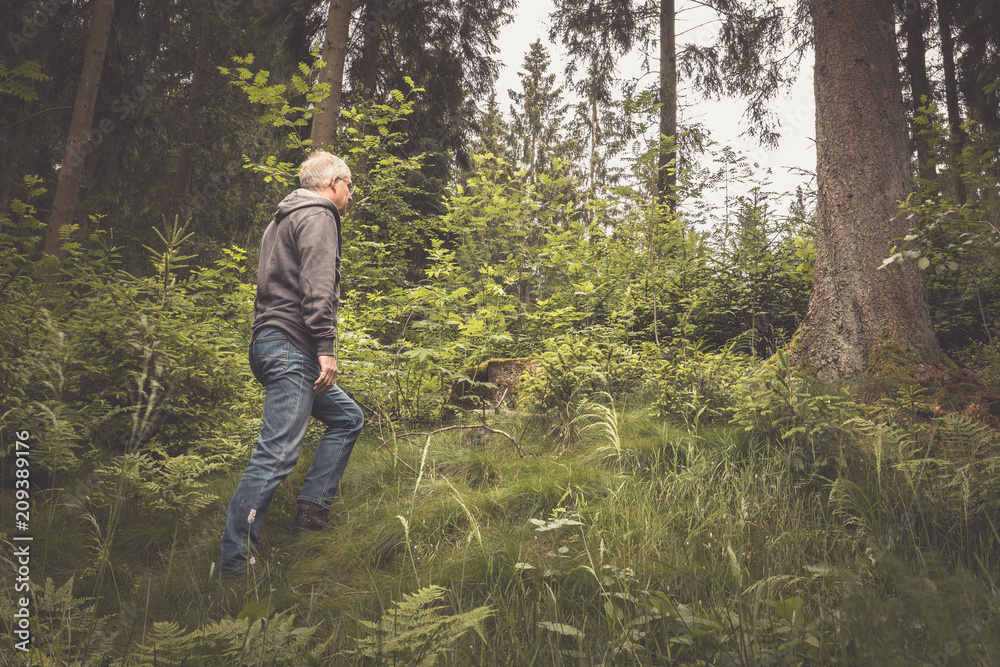 Wanderer im Wald in unwegsamen Gelände Wanderer im Wald in unwegsamen Gelände