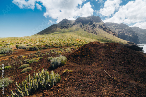 Green  but volcanic landscape with cactus   s of Tenerife island with Los Gigantes Cliffs behind