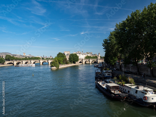 Ile de la Cite (Cite Island) and Pont Neuf (New Bridge). Pont Neuf is the oldest (1607) standing bridge across the river Seine in Paris. France, June, 2018
