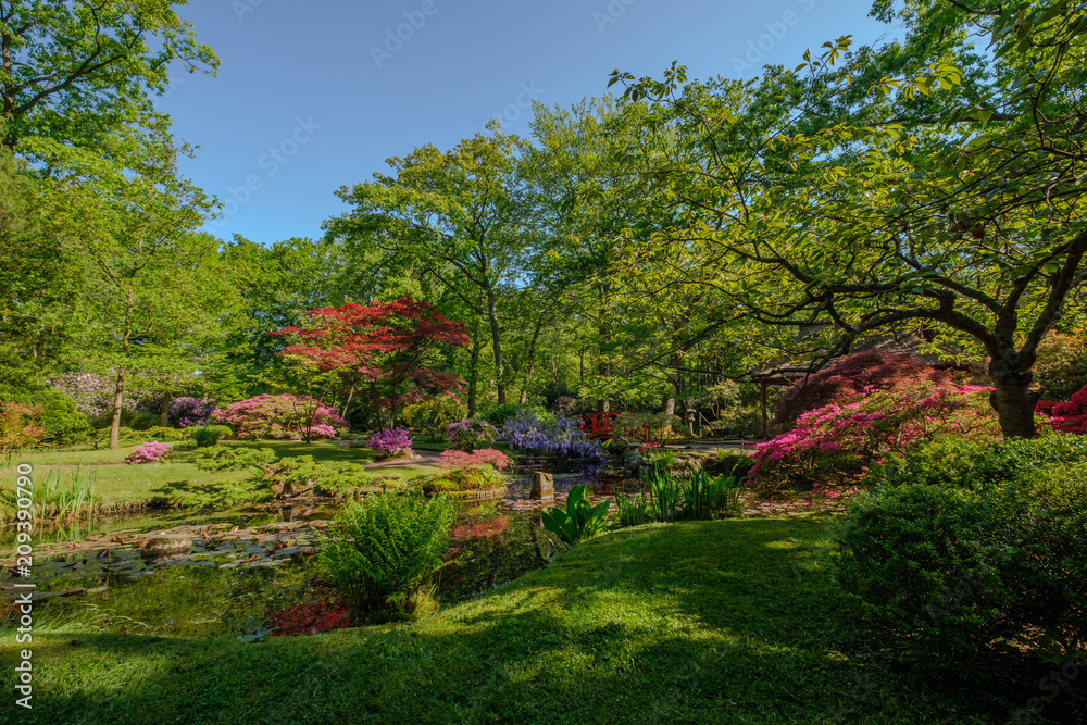 Peaceful and quiet Japanese Garden in Clingendael, The Hague, Netherlands