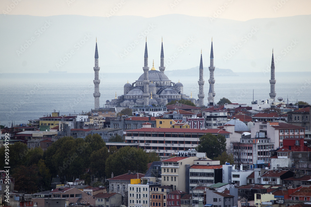 Naklejka premium Holy Sofia Istambul