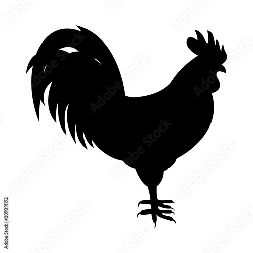 Vector image of the cock silhouette