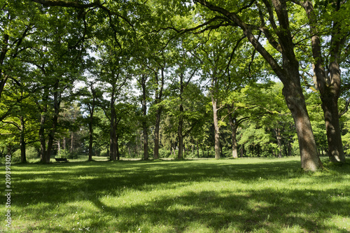 Park mit schattenspendenden Bäumen