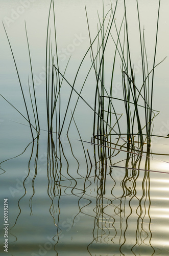lake in the morning