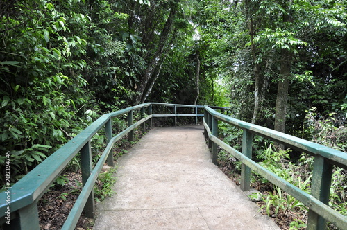 Natureza