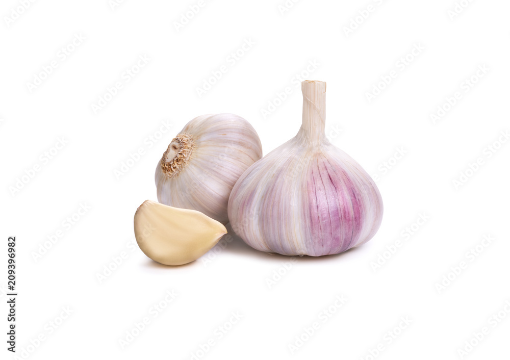 Garlic Isolated against a white background.