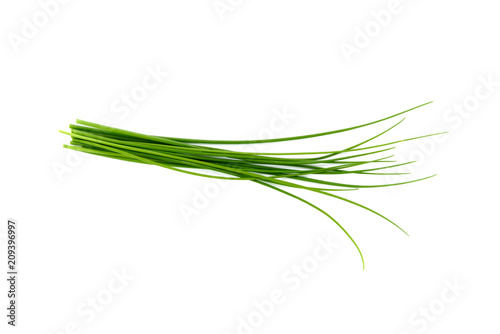 Fresh green chives, garden herbs, Isolated against a white background. photo