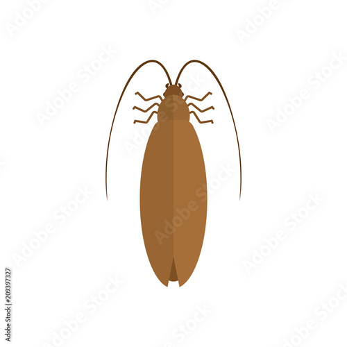 Cockroach isolated. Insect on white background. Beetle. Bug Vector illustration