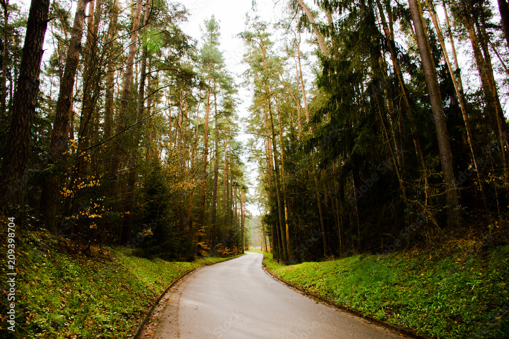 Obraz premium nature