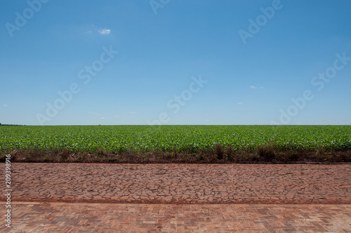 Céu
